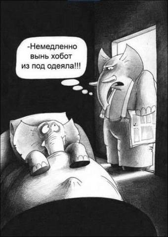 17523419_m.jpg