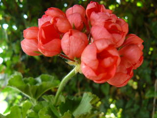 http://images.vfl.ru/ii/1497161376/1f553998/17531545.jpg
