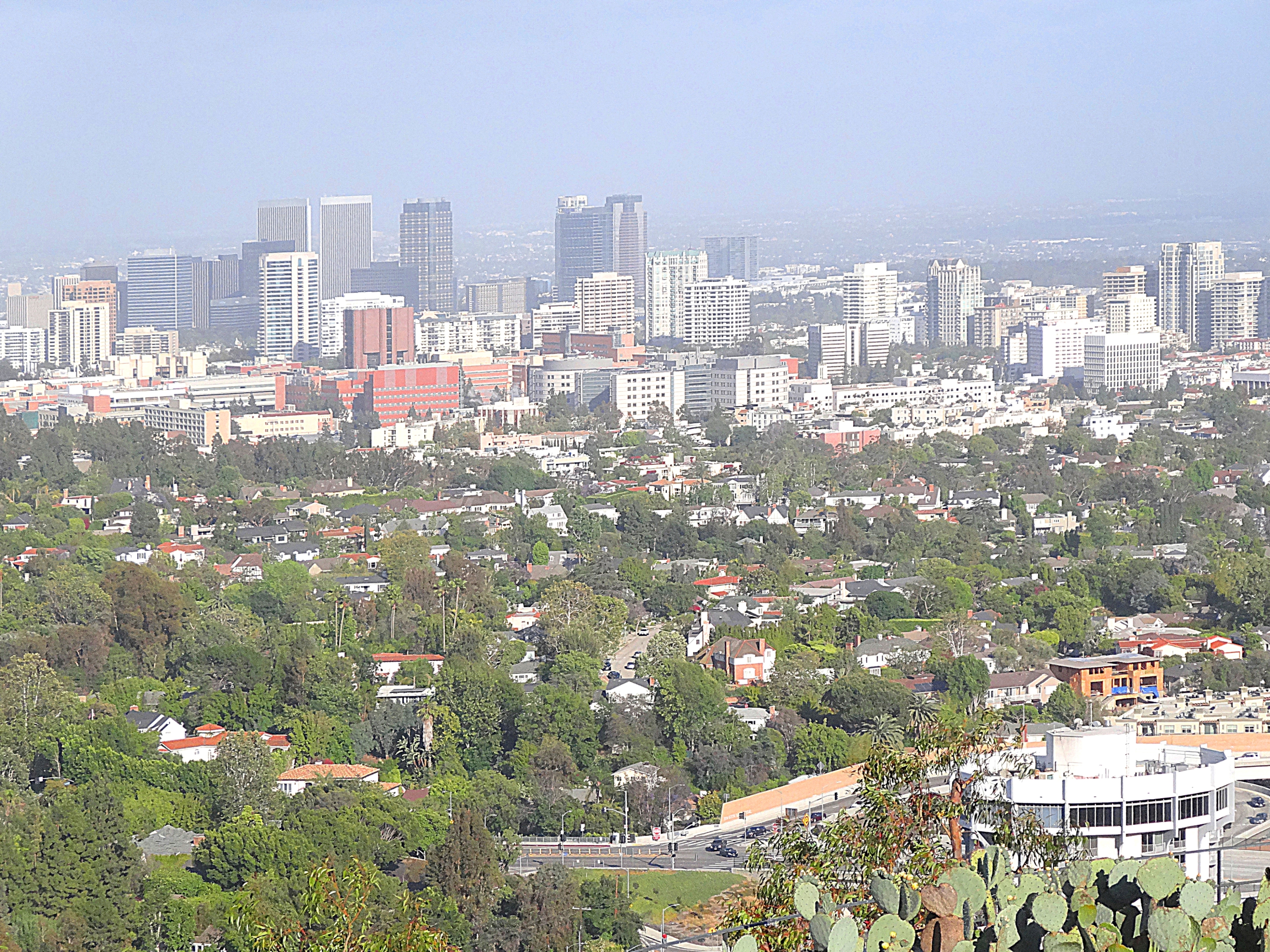 Вид Лос-Анжелеса с горы. Фото Морошкина В.В.
