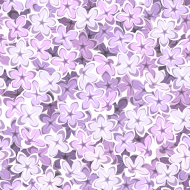 Lilac (1)