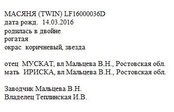 Масяня анк Irateplay