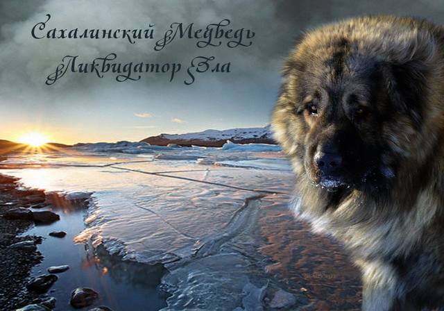 17562236_m.jpg