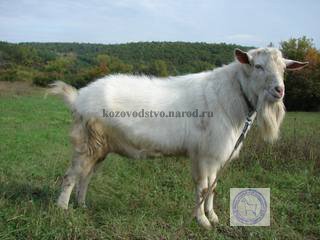 Филимон 1 Юрьевна