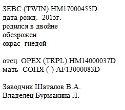 Зевс анк Вячеслав