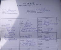 Малова родосл.Каштана обрезка