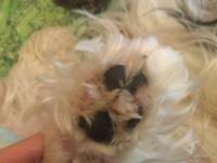 VFL.RU - ваш фотохостинг