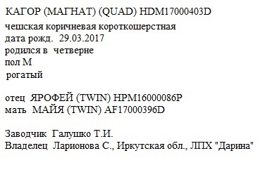 Кагор анк Татьяна Галушко