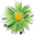 Лето Лето