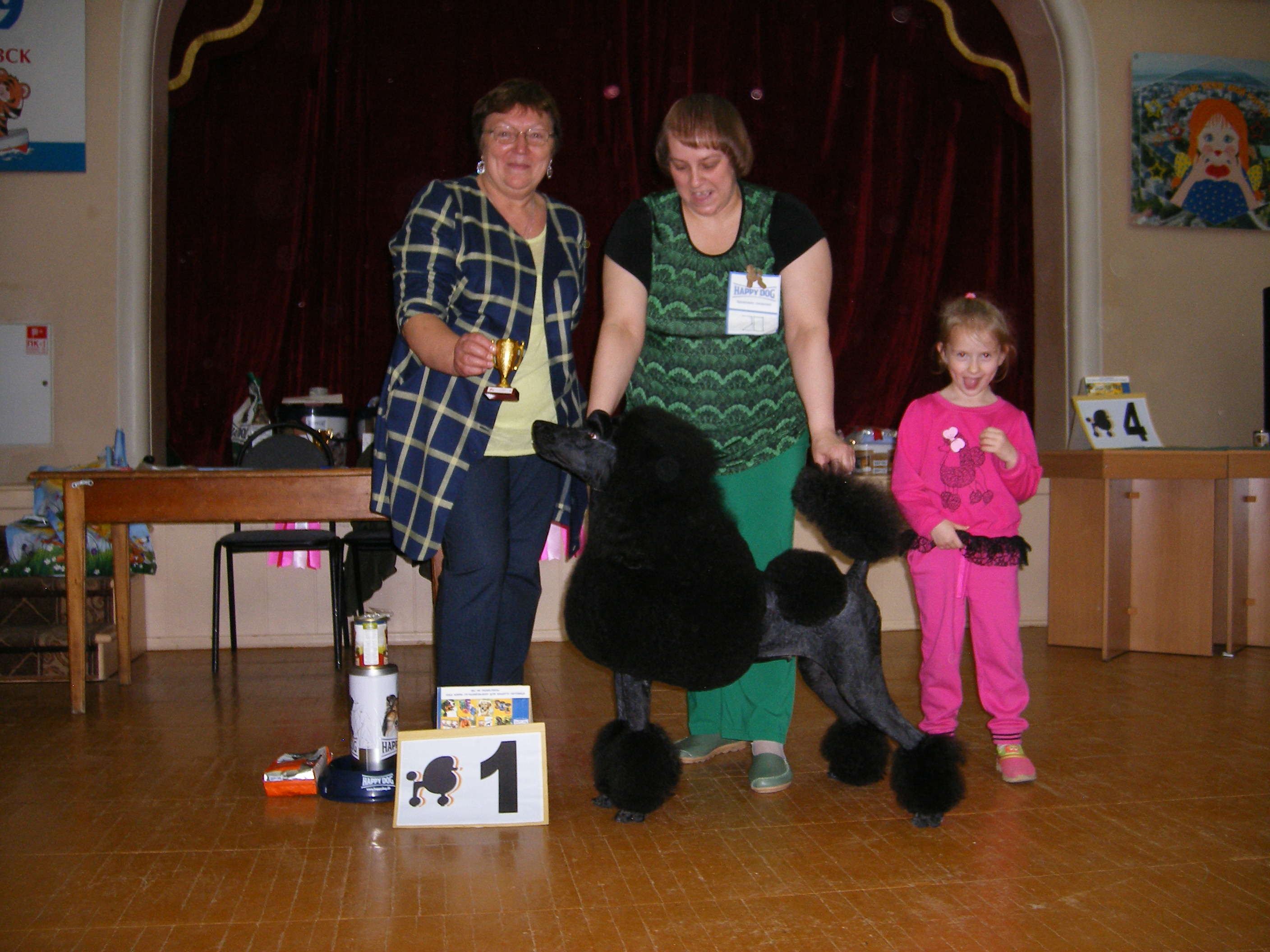 Лучший большой пудель