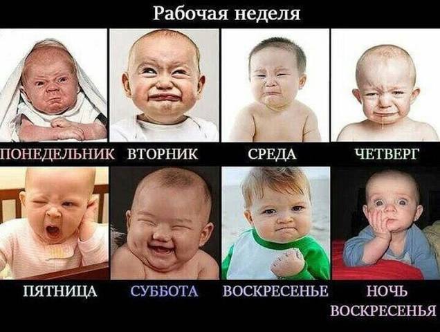 17732292_m.jpg