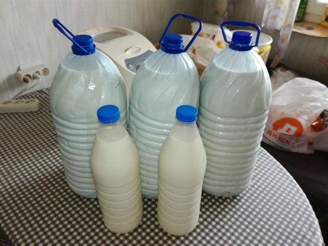 Сырные истории, или Сыроварня дома