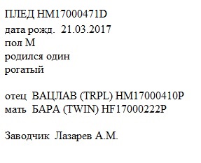 Плед анк Katiunya