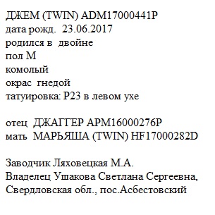 Джем анк Марина Родина