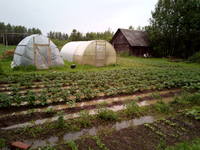 VFL.RU - ваш фотохостинг