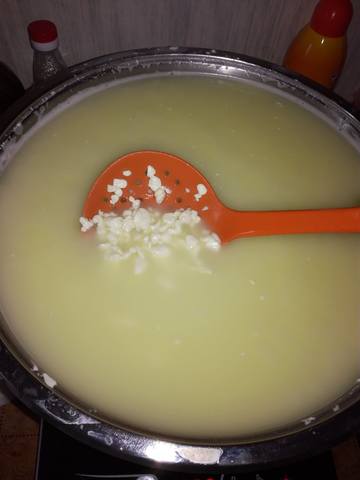 Сырные истории, или Сыроварня дома