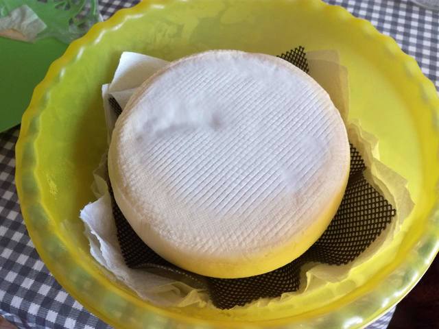 Сырные истории, или Сыроварня дома