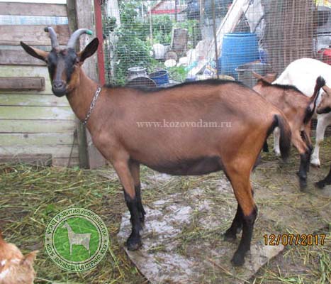 Вруда 2 ЛПХ Смирновских