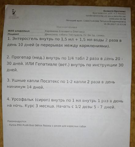 Джесика той пудель осталась сиротой, забрали из приюта!!! 17936196_m