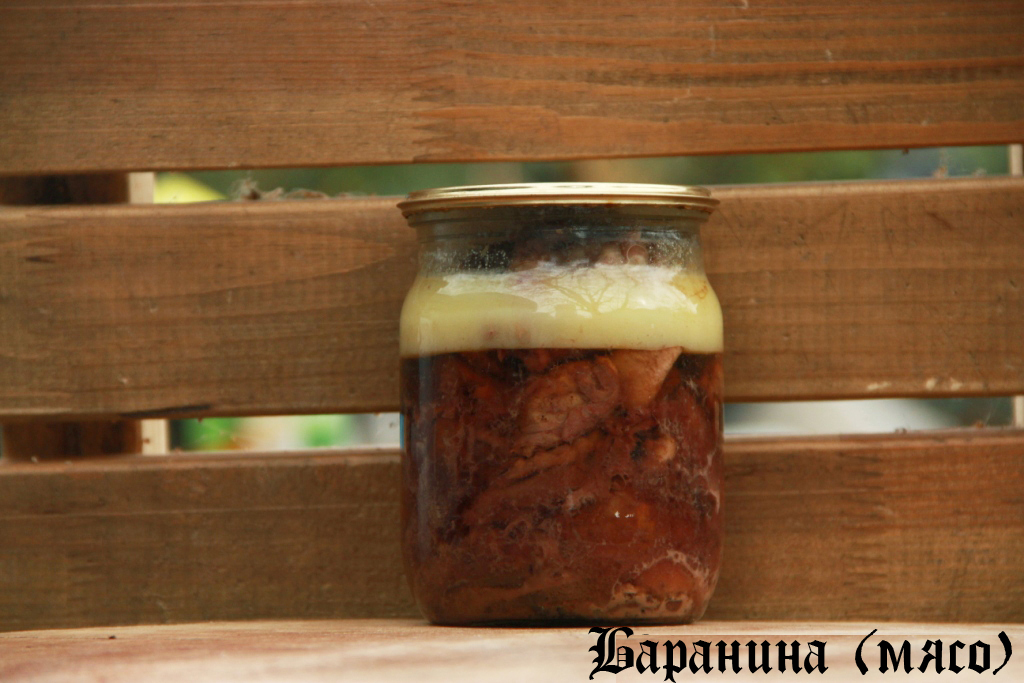 баранина (мясо)