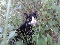 VFL.RU - ваш фотохостинг