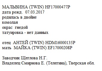 Мальвина анк Щеглова Н.Г.