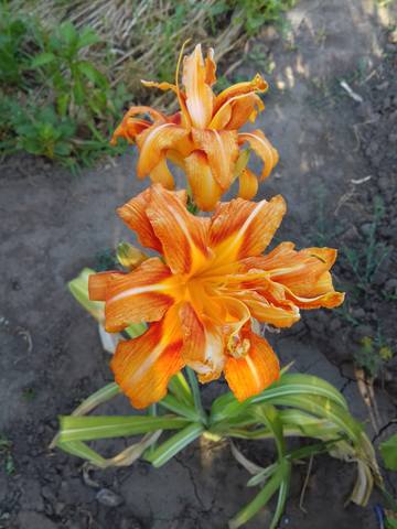 18003962_m.jpg