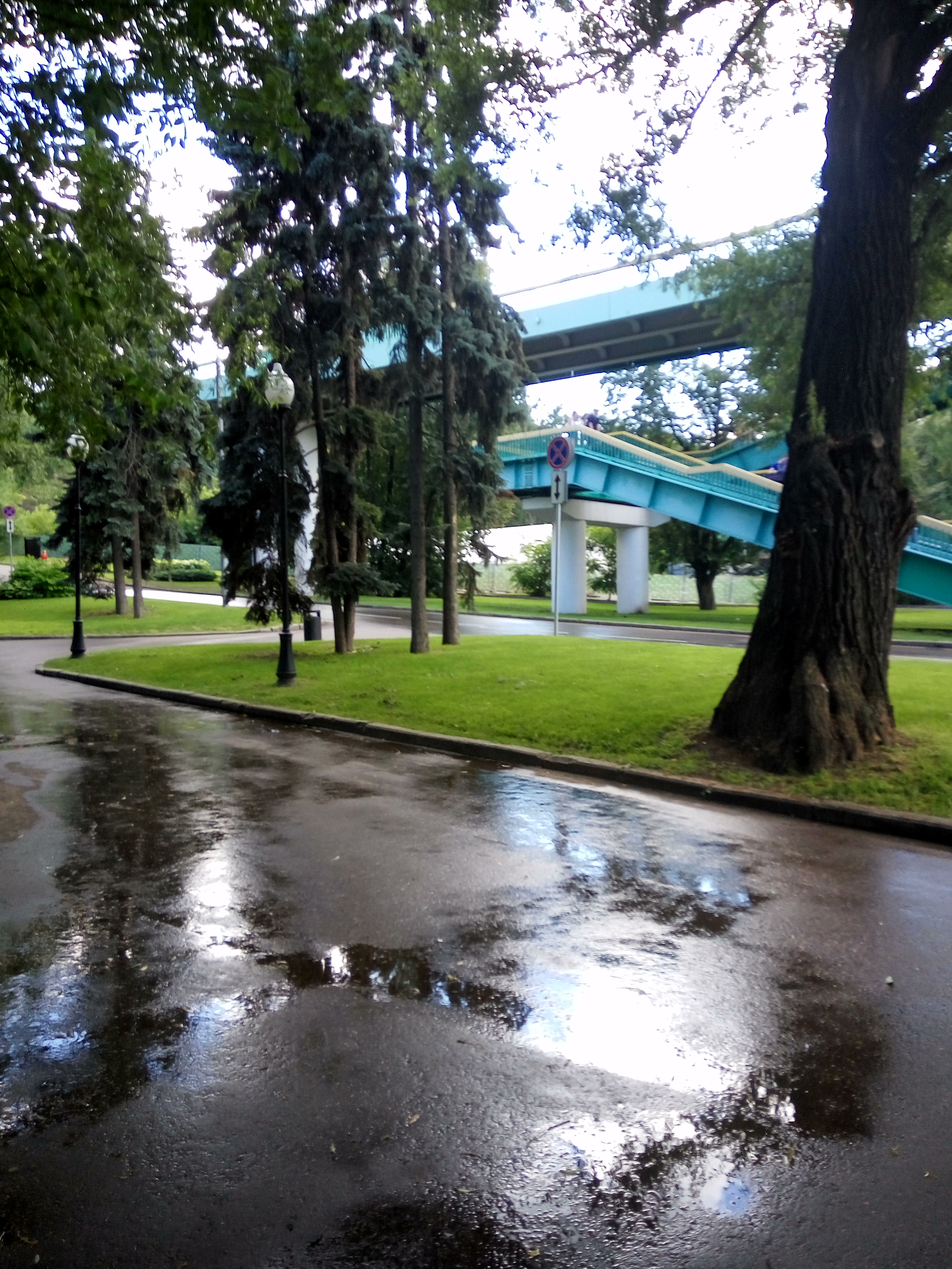 18008261.jpg