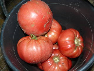 http://images.vfl.ru/ii/1500824611/769fd02f/18010461.jpg