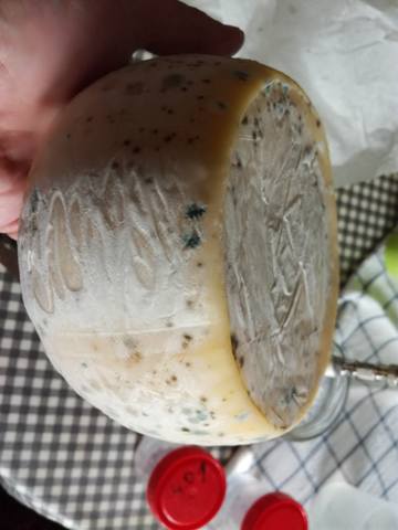 Сырные истории, или Сыроварня дома