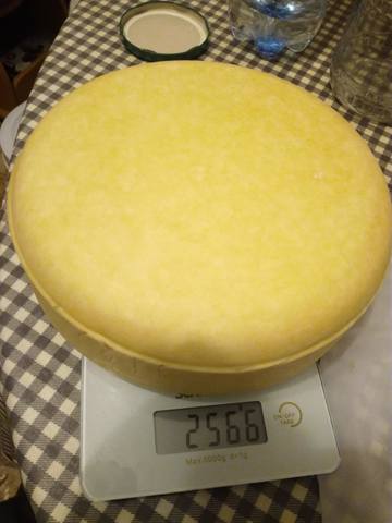 Сырные истории, или Сыроварня дома