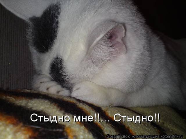 Клуб любителей пипелацев и гравицапов "Абашди покупать!"