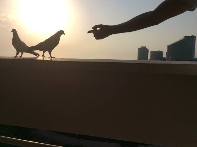 18064070_m.jpg