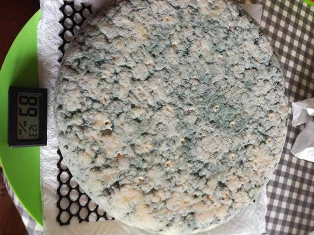 Сырные истории, или Сыроварня дома