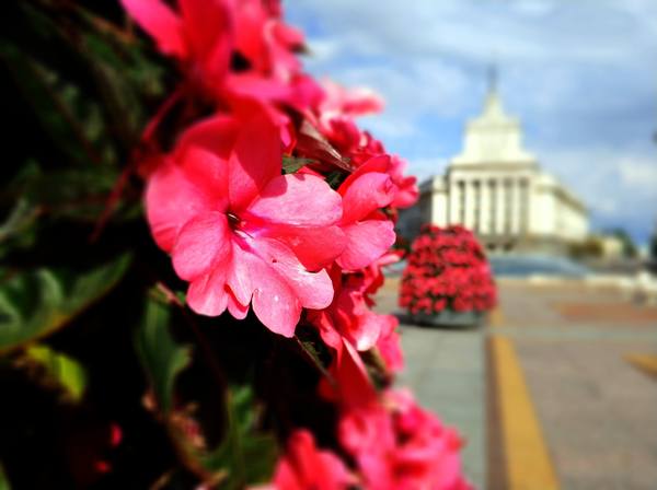 Публикувано изображение