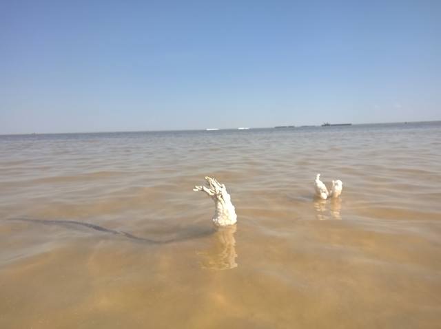 VFL.RU - ��� �����������