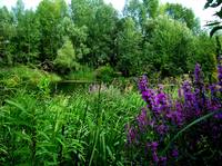 VFL.RU - ваш фотохостинг