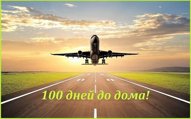 100 дней до дома то (2) (1) да