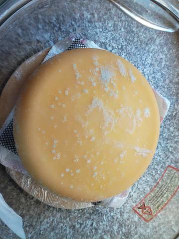 Сырные истории, или Сыроварня дома