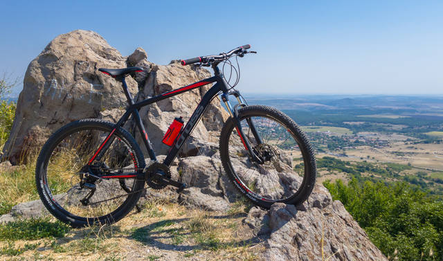 Публикувано изображение