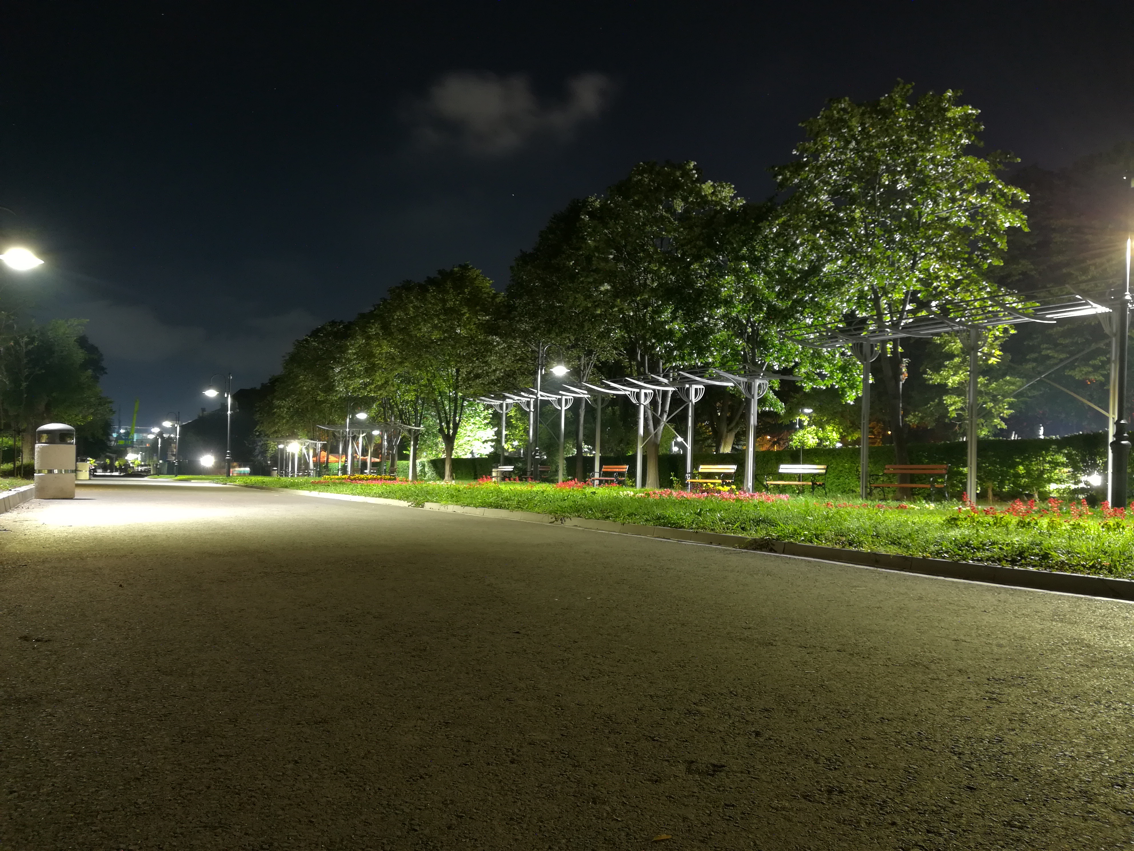 Публикувано изображение