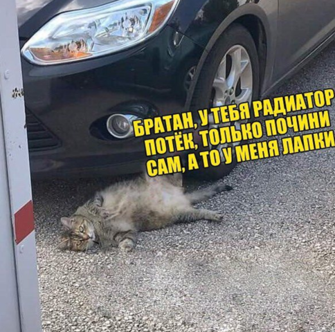 18209791_m.png