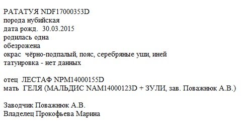 Рататуя анк Анна S-Petersburg