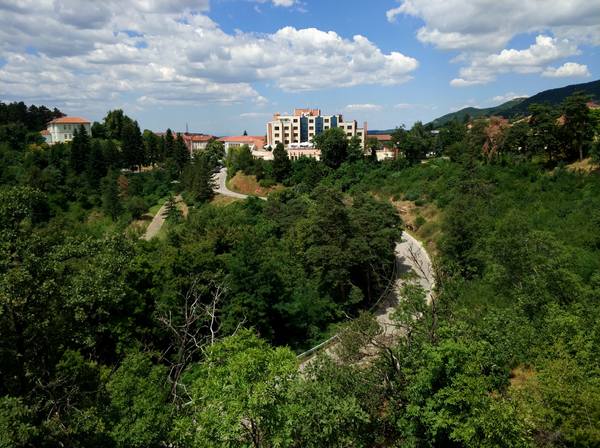 Публикувано изображение