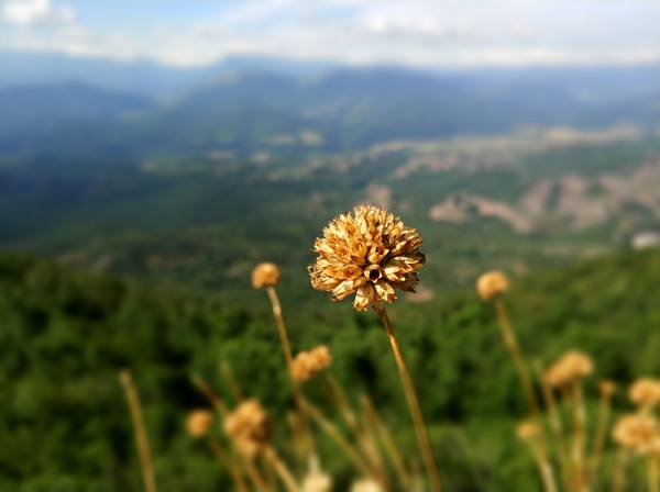 Публикувано изображение