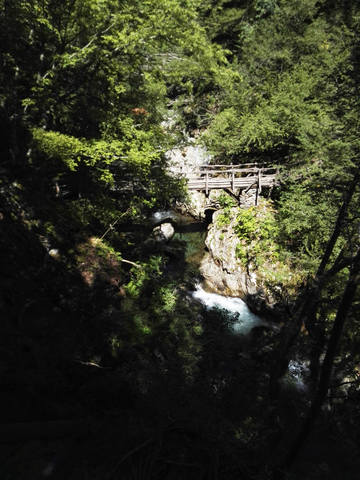 Публикувано изображение