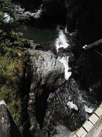 Публикувано изображение