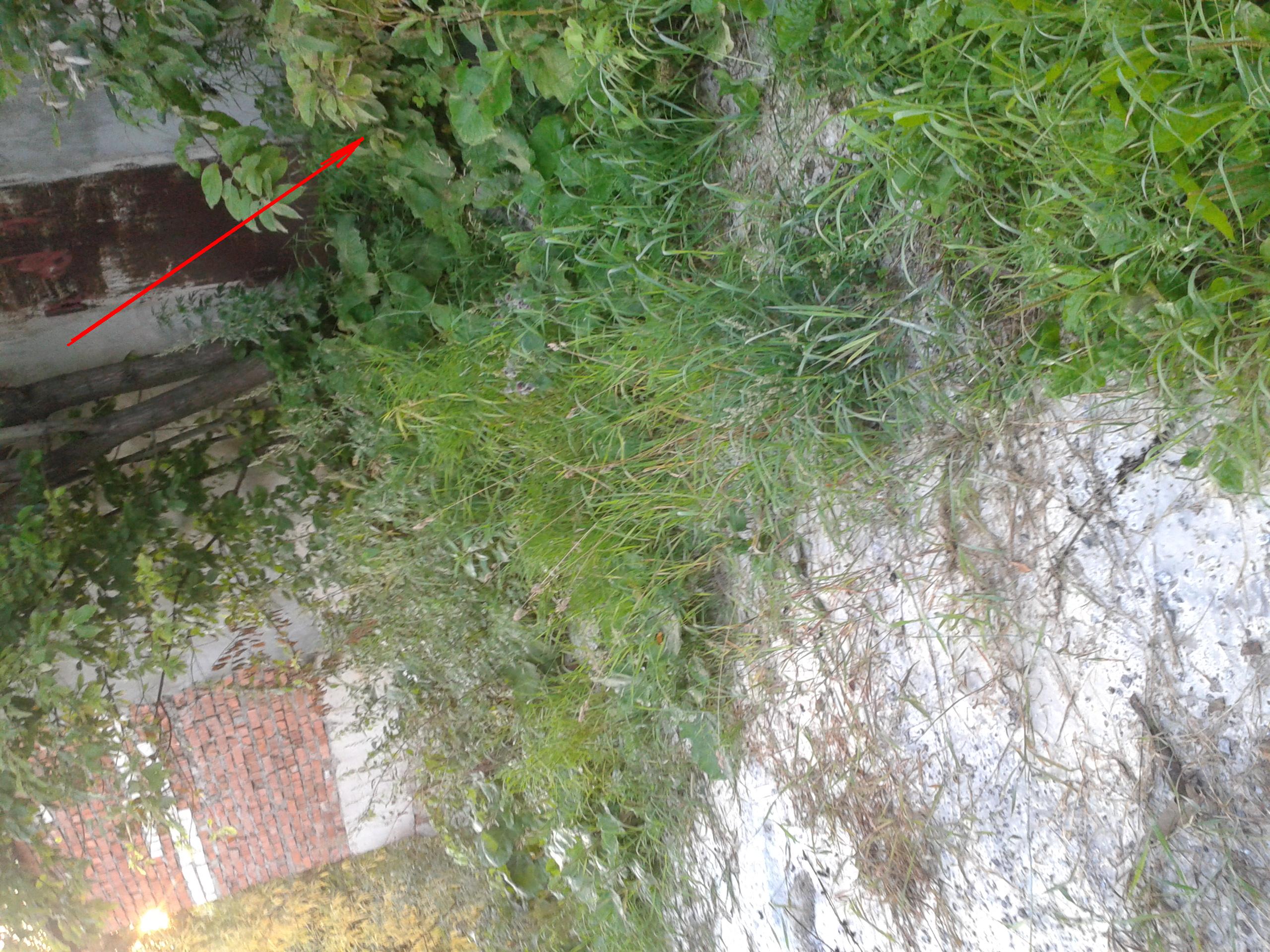 Копия (2) 2017-08-20 05.37.51