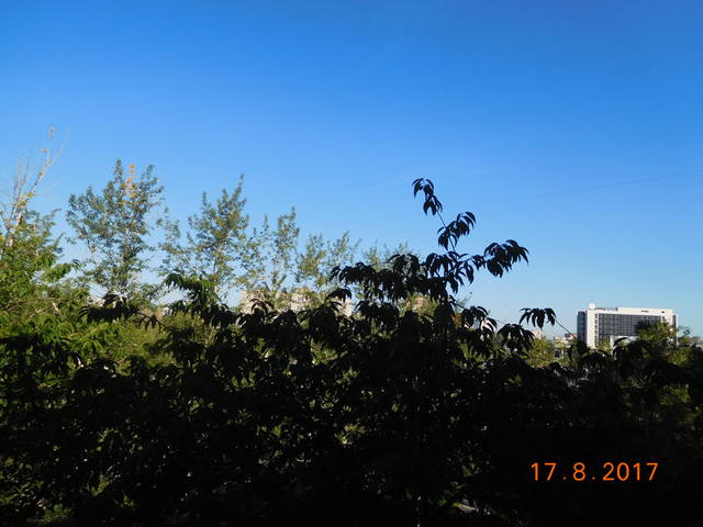 18341342_m.jpg