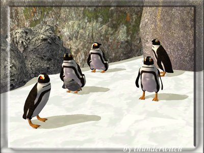 pinguine