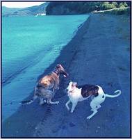 VFL.RU - ваш фотохостинг